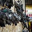 selection-12.jpg