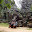 Cambodge- Angkor