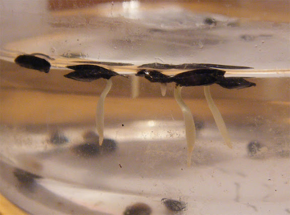 2011_10000022.jpg