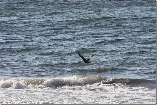 IMG_1305 IMG_1305