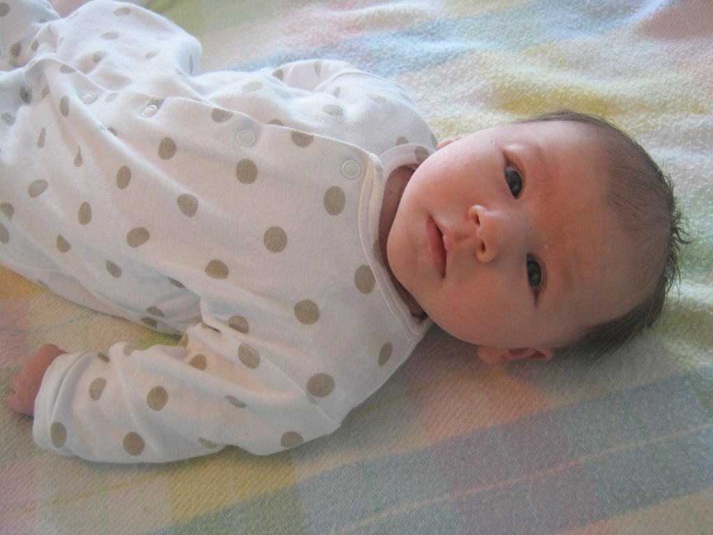 [IMG_9372%255B5%255D.jpg]