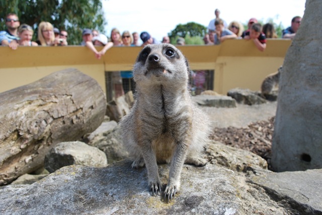 [DSC_0555%255B3%255D.jpg]