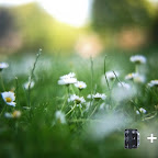 iphone-slr-mount-876f_600.0000001310021504.jpg