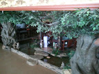 2012-02-05 14.03.21.jpg