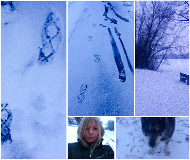 winter-1LR