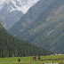 Hikers and horsemen in the Jeti-Oghuz Valley, Kyrgyzstan