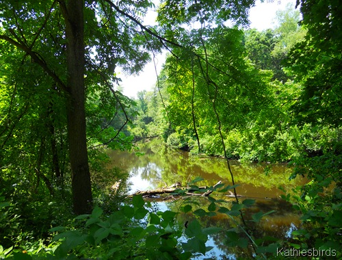 Apa headings and subheadings example image