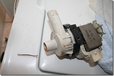 The water pump and the pesky hairpin that nearly ruined our baby IMG_2768