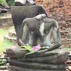 IMG_8393.JPG
