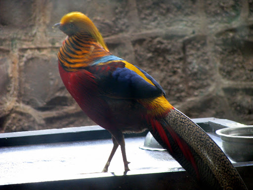Byculla Zoo Timings