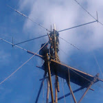 IMAG0486.jpg