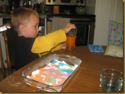 IMG_4858 IMG_4858