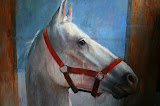 Hengst - 80 x 85 cm - olieverf op paneel