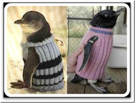 penguinsweater5
