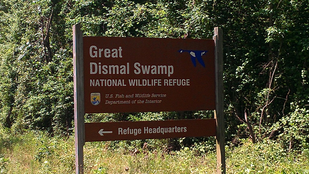 [Great-Dismal-Swamp-13.jpg]