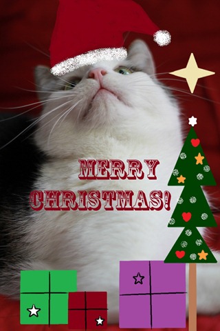 [schafi%2520christmas%255B4%255D.jpg]