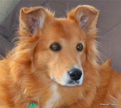 DSC_0897_2 DSC_0897_2