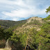 IMG_20120310_162917.jpg