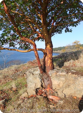VeniceSanJuanIsl 300 VeniceSanJuanIsl 300