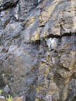 glacier_national_park_-_2007