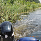 DSCN8316.JPG