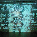 CIMG5467.JPG