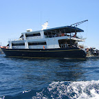 Mermaid II