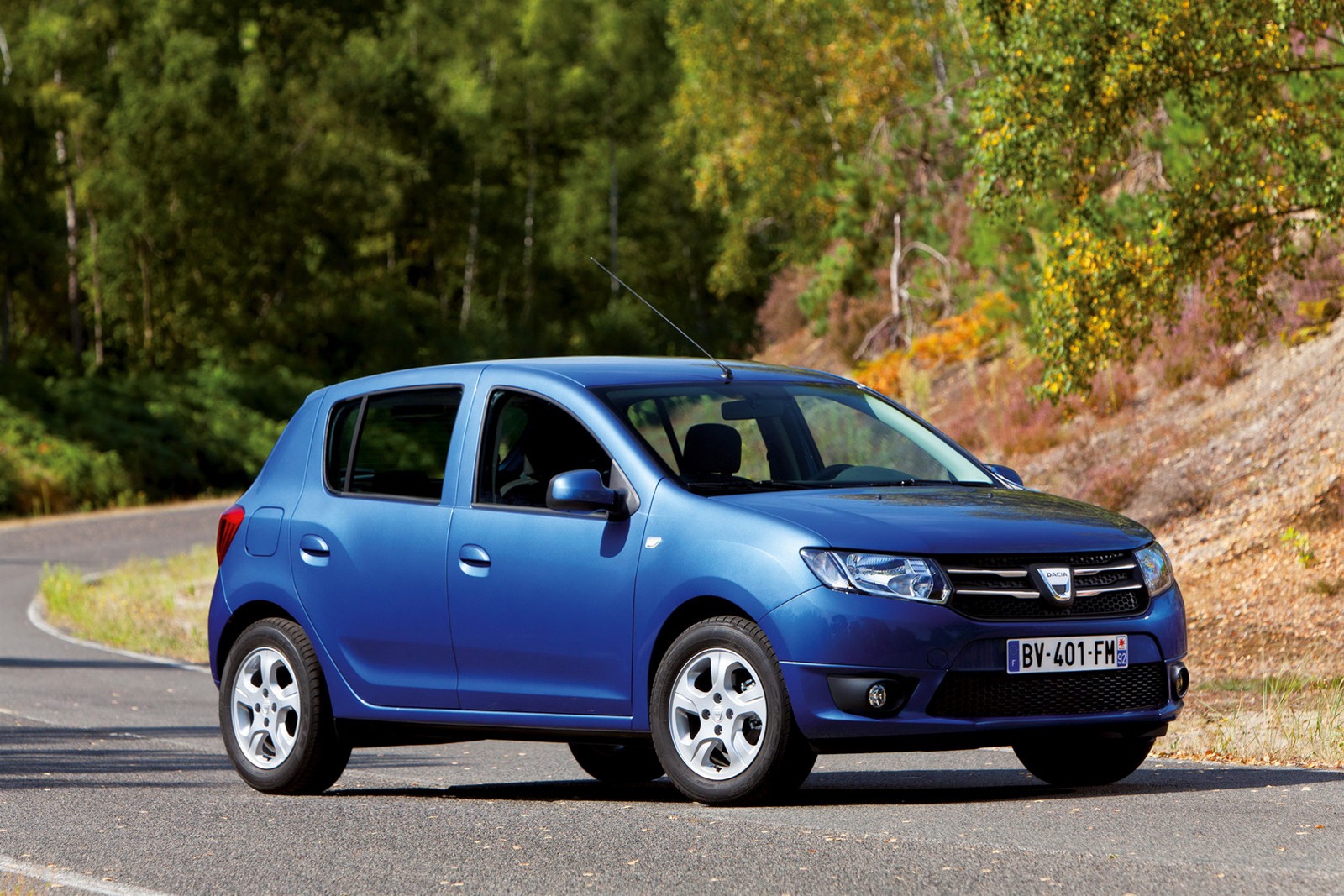 Dacia-Sandero-Logan-2-12[2].jpg