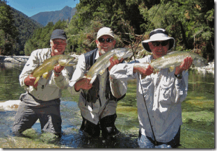Best Fishing Spots in The Top of the South New Zealand