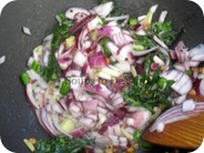 IMG_6729 IMG_6729