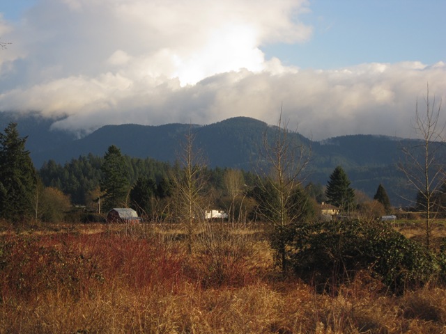 [IMG_6817%255B3%255D.jpg]
