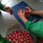 IMAG0465.jpg