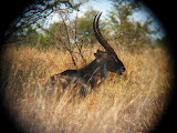 South Africa - 165.JPG