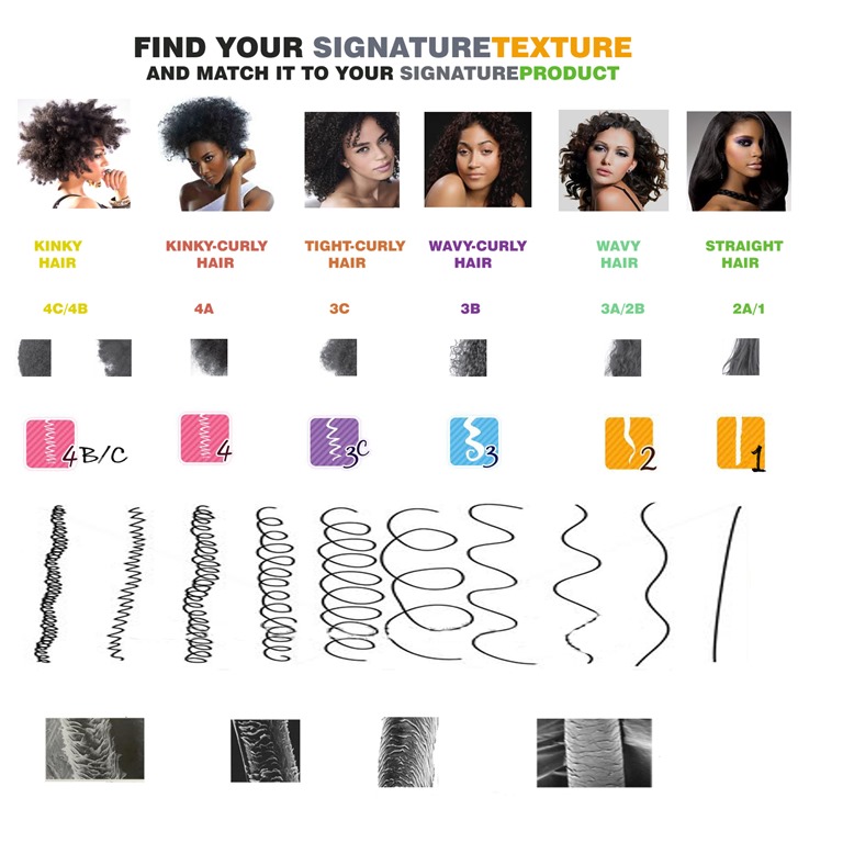 [CHART%2520copy%25281%2529%2520find%2520your%2520hair%2520texture%2520type%255B3%255D.jpg]