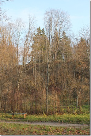 IMG_3345 IMG_3345