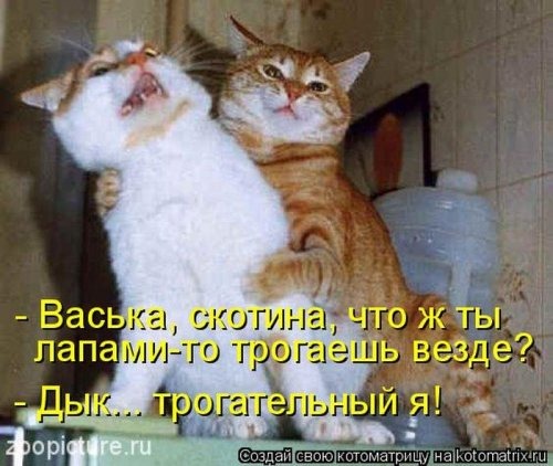 [1337328900_kotomatricy-4%255B3%255D.jpg]