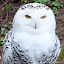 Tierpark Meißen Tierpark Meißen