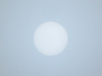 IMG_6663 IMG_6663