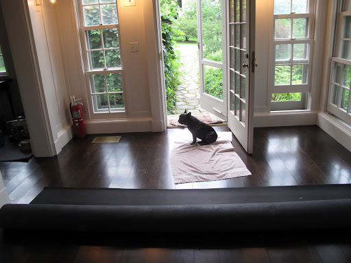 Hmmm, could it be some kind of carpet padding?