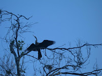 IMG_0715.JPG