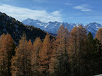 P1020145.JPG
