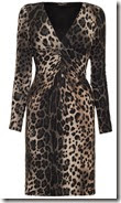 James Lakeland Leopard Print Dress (On Sale)