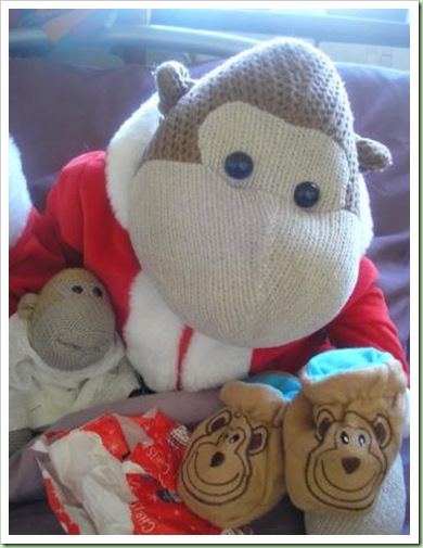 Monkey slippers 1