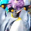 hokkaido_335.jpg