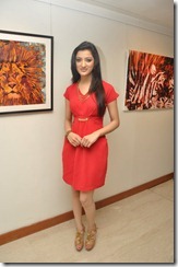 Richa Panai Latest Photoshoot Stills in Red Dress