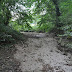 2011.09.11. - Trdinov vrh