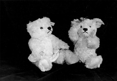 Split-Toned-Prints---Bears-2-A