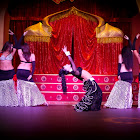 Имя документа33_215.jpg