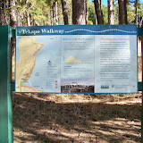 Lake Tekapo