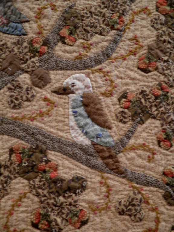 [Robyn%2520G%2520Kookaburra%255B1%255D.jpg]